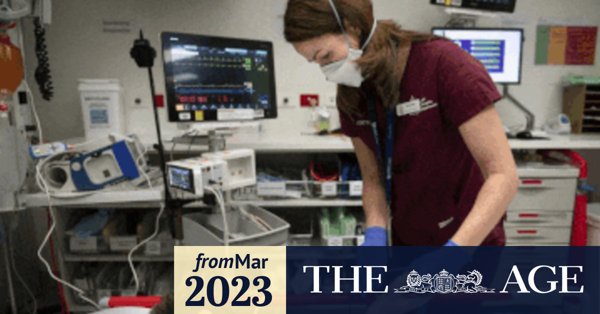 A day in the life of Royal Melbourne Hospital